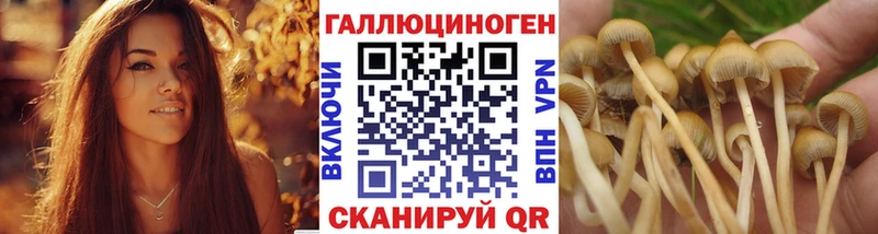 Галлюциногенные грибы прущие грибы Поворино